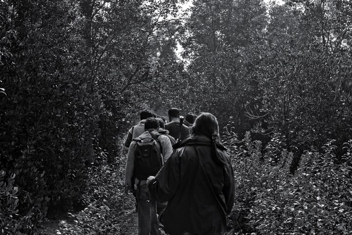 Tourists are trekking in the Sundarbans. Photo by Mohammad Mustafizur Rahman. Used with permission.